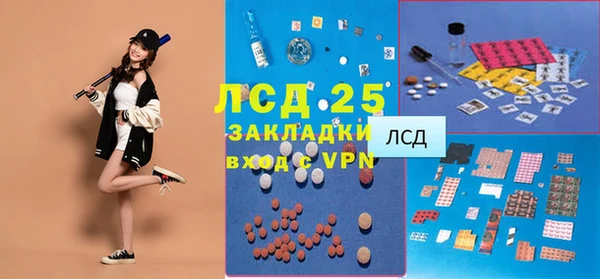 ECSTASY Богданович