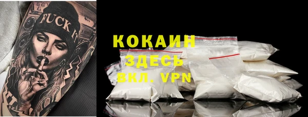 ECSTASY Богданович