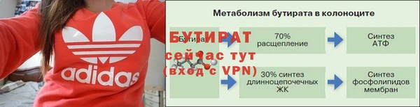 ECSTASY Богданович