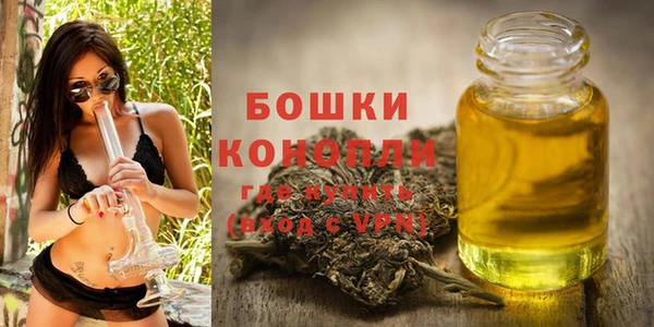 ECSTASY Богданович