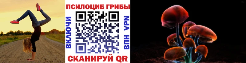 Галлюциногенные грибы MAGIC MUSHROOMS Гусев